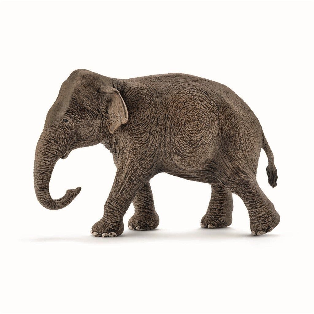 Schleich asiatisk elefant - Hun