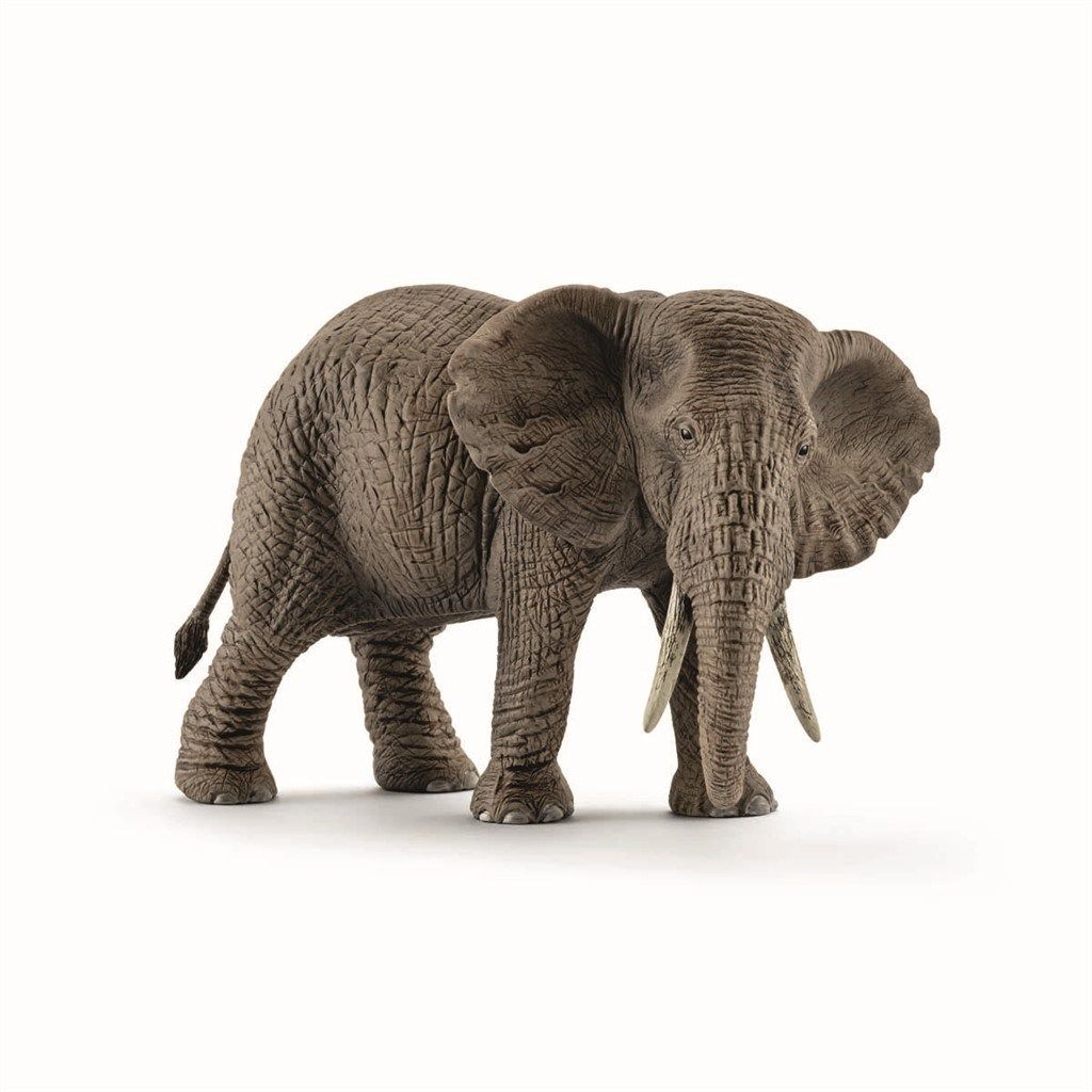 Schleich afrikansk elefant - Hun